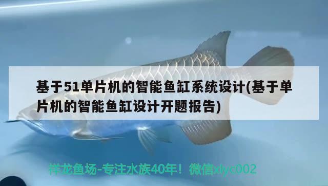 基于51單片機的智能魚缸系統(tǒng)設計(基于單片機的智能魚缸設計開題報告) 祥龍超血紅龍魚