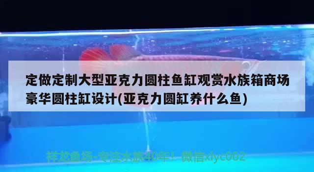 定做定制大型亞克力圓柱魚缸觀賞水族箱商場豪華圓柱缸設(shè)計(亞克力圓缸養(yǎng)什么魚) 魚缸/水族箱