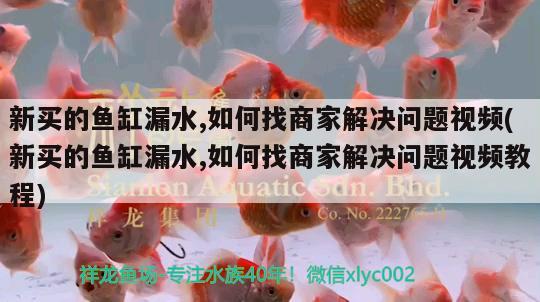 新買(mǎi)的魚(yú)缸漏水,如何找商家解決問(wèn)題視頻(新買(mǎi)的魚(yú)缸漏水,如何找商家解決問(wèn)題視頻教程)