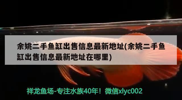 余姚二手魚缸出售信息最新地址(余姚二手魚缸出售信息最新地址在哪里)