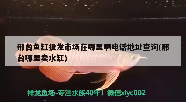 邢臺魚缸批發(fā)市場在哪里啊電話地址查詢(邢臺哪里賣水缸) 福滿鉆魚