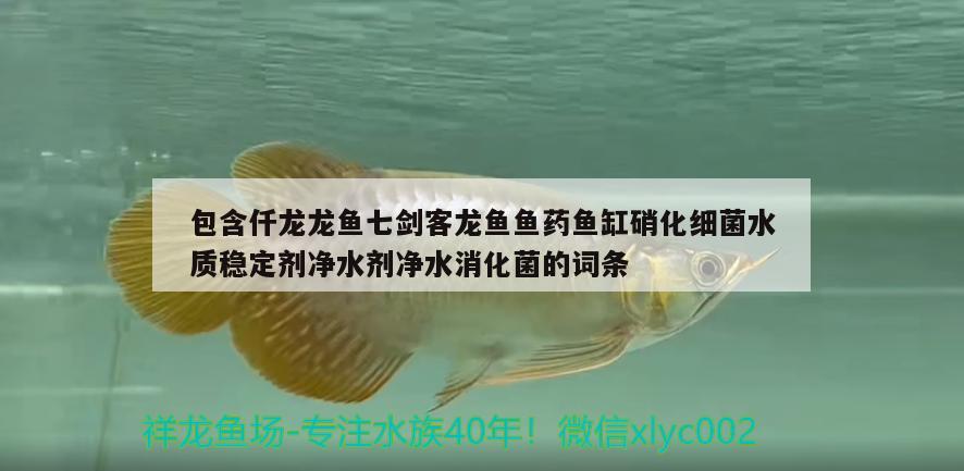 包含仟龍龍魚(yú)七劍客龍魚(yú)魚(yú)藥魚(yú)缸硝化細(xì)菌水質(zhì)穩(wěn)定劑凈水劑凈水消化菌的詞條 硝化細(xì)菌