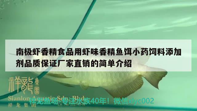 南極蝦香精食品用蝦味香精魚餌小藥飼料添加劑品質(zhì)保證廠家直銷的簡單介紹 超血紅龍魚