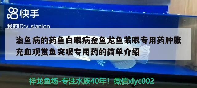 治魚病的藥魚白眼病金魚龍魚蒙眼專用藥腫脹充血觀賞魚突眼專用藥的簡(jiǎn)單介紹 野生地圖魚 第3張