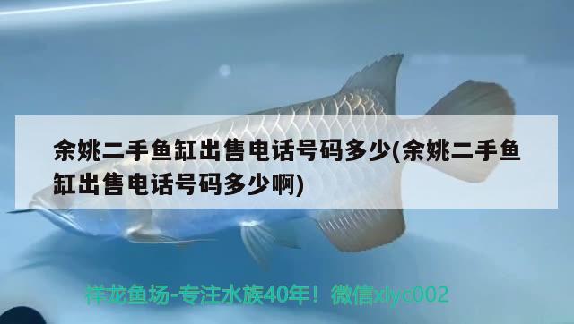 余姚二手魚缸出售電話號(hào)碼多少(余姚二手魚缸出售電話號(hào)碼多少啊)