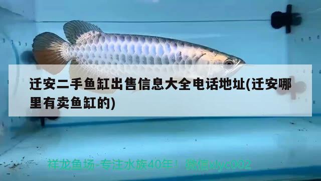 遷安二手魚缸出售信息大全電話地址(遷安哪里有賣魚缸的)