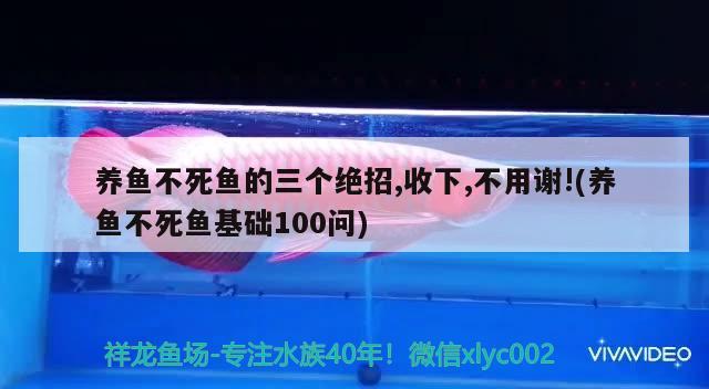 養(yǎng)魚不死魚的三個絕招,收下,不用謝!(養(yǎng)魚不死魚基礎100問)