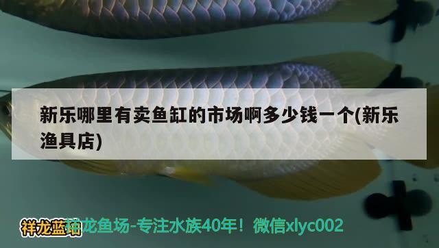 新樂哪里有賣魚缸的市場啊多少錢一個(新樂漁具店) 殺菌消毒設(shè)備