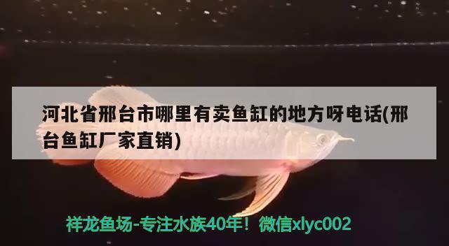 河北省邢臺(tái)市哪里有賣魚缸的地方呀電話(邢臺(tái)魚缸廠家直銷) 祥龍魚場(chǎng)其他產(chǎn)品 第2張