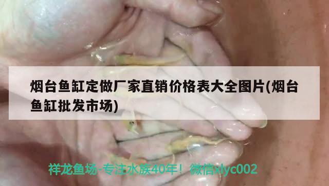 煙臺魚缸定做廠家直銷價格表大全圖片(煙臺魚缸批發(fā)市場)