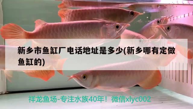 新鄉(xiāng)市魚缸廠電話地址是多少(新鄉(xiāng)哪有定做魚缸的)