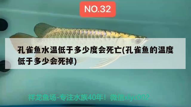 孔雀魚水溫低于多少度會死亡(孔雀魚的溫度低于多少會死掉) 觀賞魚