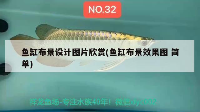 魚缸布景設計圖片欣賞(魚缸布景效果圖簡單) 蝴蝶鯉