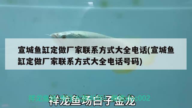 宣城魚缸定做廠家聯(lián)系方式大全電話(宣城魚缸定做廠家聯(lián)系方式大全電話號碼)