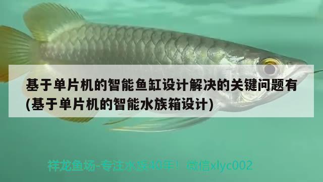 基于單片機(jī)的智能魚缸設(shè)計(jì)解決的關(guān)鍵問(wèn)題有(基于單片機(jī)的智能水族箱設(shè)計(jì)) 魚缸/水族箱