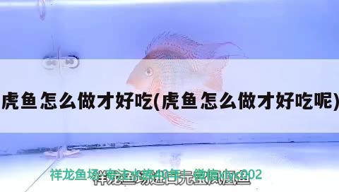 虎魚怎么做才好吃(虎魚怎么做才好吃呢)