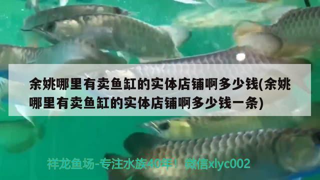 余姚哪里有賣(mài)魚(yú)缸的實(shí)體店鋪啊多少錢(qián)(余姚哪里有賣(mài)魚(yú)缸的實(shí)體店鋪啊多少錢(qián)一條)