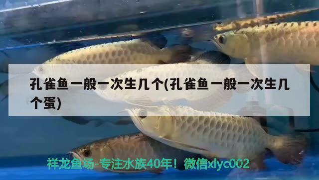 孔雀魚一般一次生幾個(孔雀魚一般一次生幾個蛋) 觀賞魚