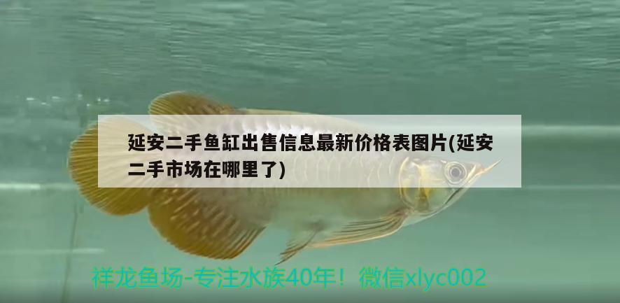 延安二手魚缸出售信息最新價格表圖片(延安二手市場在哪里了) 白寫錦鯉魚