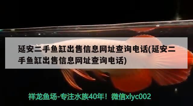 延安二手魚缸出售信息網(wǎng)址查詢電話(延安二手魚缸出售信息網(wǎng)址查詢電話)