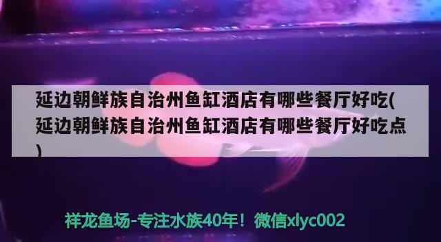 延邊朝鮮族自治州魚缸酒店有哪些餐廳好吃(延邊朝鮮族自治州魚缸酒店有哪些餐廳好吃點(diǎn))