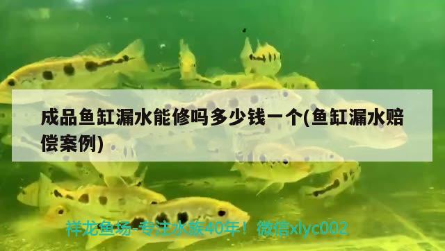 成品魚缸漏水能修嗎多少錢一個(gè)(魚缸漏水賠償案例) 印尼虎苗