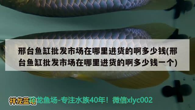 邢臺魚缸批發(fā)市場在哪里進貨的啊多少錢(邢臺魚缸批發(fā)市場在哪里進貨的啊多少錢一個)