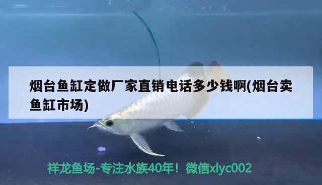 煙臺魚缸定做廠家直銷電話多少錢啊(煙臺賣魚缸市場)