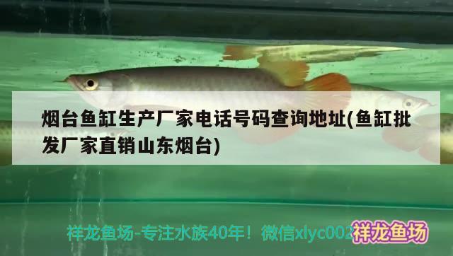 煙臺(tái)魚缸生產(chǎn)廠家電話號(hào)碼查詢地址(魚缸批發(fā)廠家直銷山東煙臺(tái))