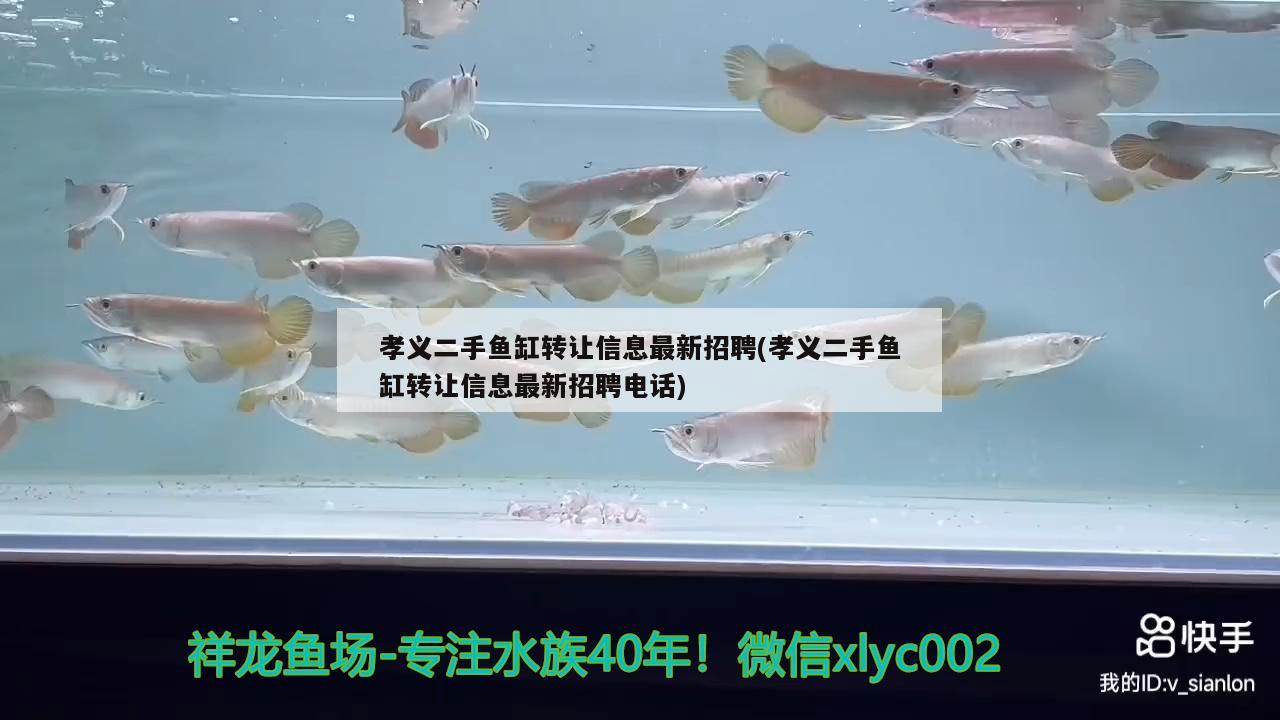 孝義二手魚缸轉(zhuǎn)讓信息最新招聘(孝義二手魚缸轉(zhuǎn)讓信息最新招聘電話)