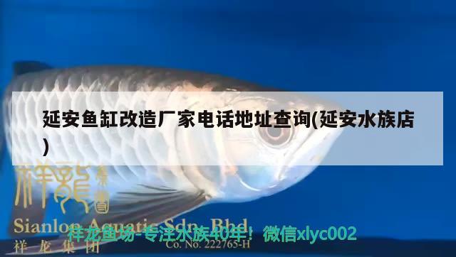 延安魚缸改造廠家電話地址查詢(延安水族店)