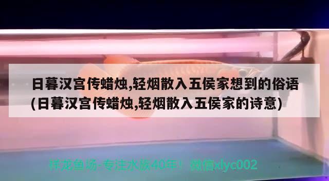 日暮漢宮傳蠟燭,輕煙散入五侯家想到的俗語(日暮漢宮傳蠟燭,輕煙散入五侯家的詩意)