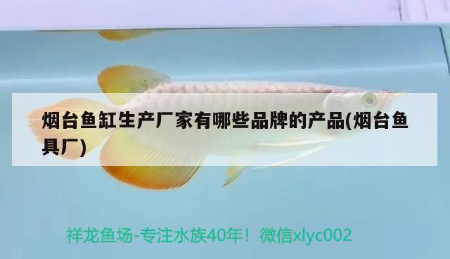 煙臺(tái)魚缸生產(chǎn)廠家有哪些品牌的產(chǎn)品(煙臺(tái)魚具廠)