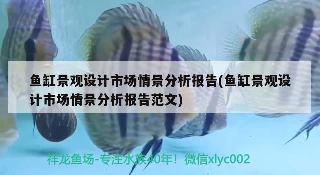 魚缸景觀設(shè)計市場情景分析報告(魚缸景觀設(shè)計市場情景分析報告范文)