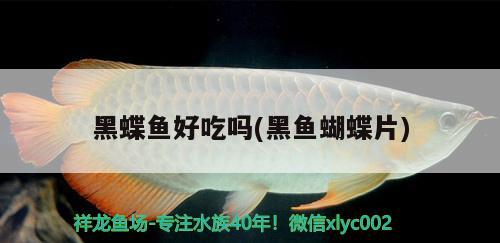 黑蝶魚好吃嗎(黑魚蝴蝶片) 蝴蝶鯉