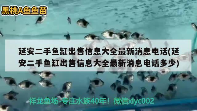 延安二手魚缸出售信息大全最新消息電話(延安二手魚缸出售信息大全最新消息電話多少)