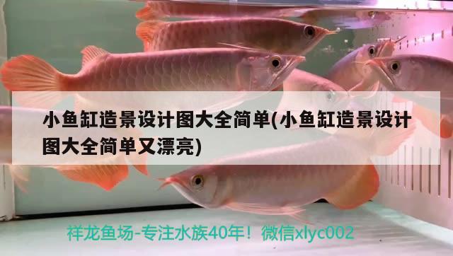 小魚缸造景設計圖大全簡單(小魚缸造景設計圖大全簡單又漂亮)