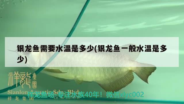 銀龍魚需要水溫是多少(銀龍魚一般水溫是多少)