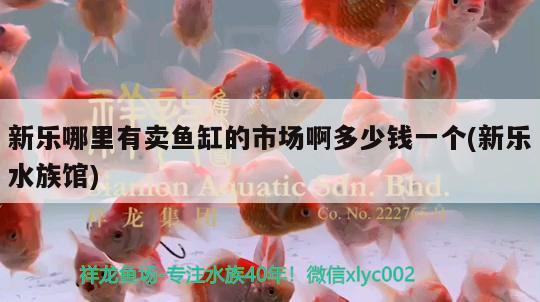 新樂哪里有賣魚缸的市場啊多少錢一個(新樂水族館) 沖氧泵