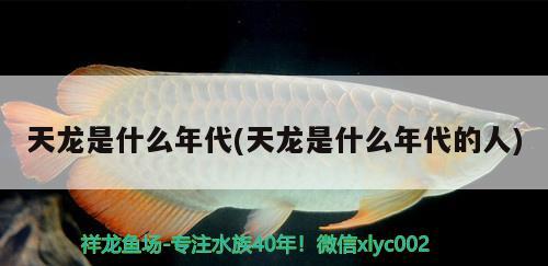 天龍是什么年代(天龍是什么年代的人) 觀賞魚