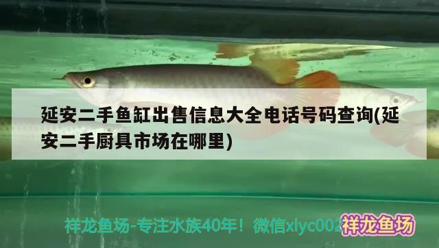 延安二手魚缸出售信息大全電話號碼查詢(延安二手廚具市場在哪里)