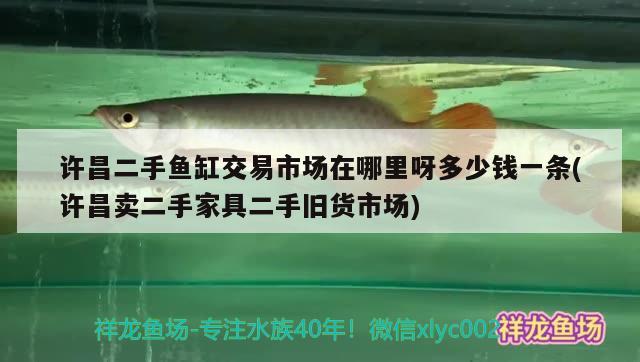 許昌二手魚缸交易市場在哪里呀多少錢一條(許昌賣二手家具二手舊貨市場) 南美異型魚