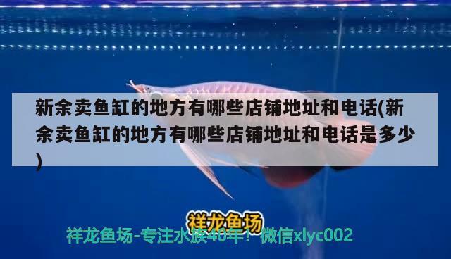 新余賣魚缸的地方有哪些店鋪地址和電話(新余賣魚缸的地方有哪些店鋪地址和電話是多少)