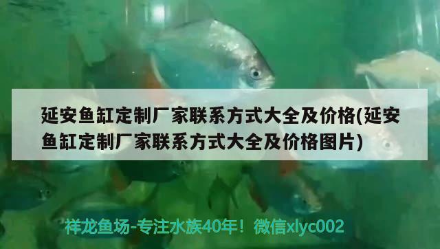 延安魚缸定制廠家聯(lián)系方式大全及價格(延安魚缸定制廠家聯(lián)系方式大全及價格圖片)