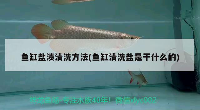 魚(yú)缸鹽漬清洗方法(魚(yú)缸清洗鹽是干什么的)