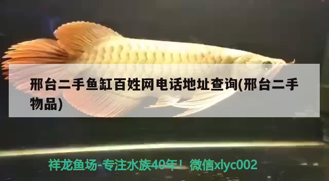 邢臺二手魚缸百姓網(wǎng)電話地址查詢(邢臺二手物品) 眼斑魚