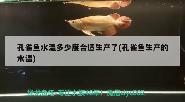 孔雀魚水溫多少度合適生產(chǎn)了(孔雀魚生產(chǎn)的水溫) 觀賞魚