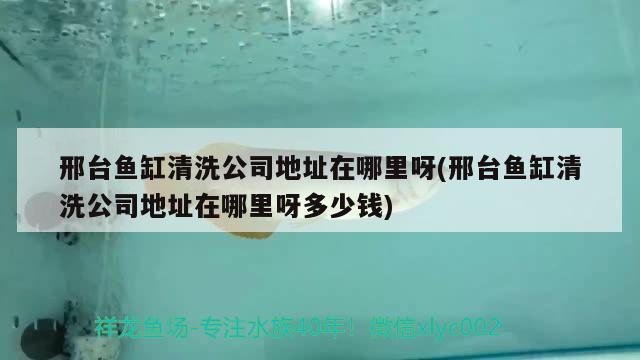 邢臺(tái)魚缸清洗公司地址在哪里呀(邢臺(tái)魚缸清洗公司地址在哪里呀多少錢) 森森魚缸