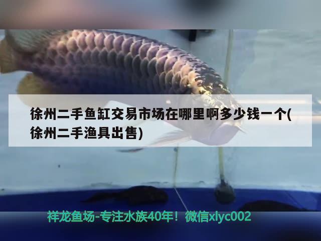 徐州二手魚缸交易市場在哪里啊多少錢一個(徐州二手漁具出售) 鸚鵡魚