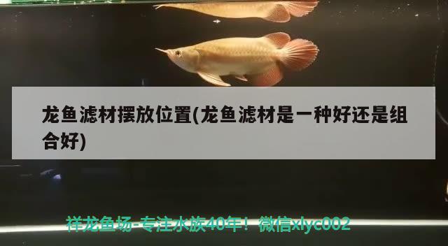 龍魚濾材擺放位置(龍魚濾材是一種好還是組合好) 觀賞魚